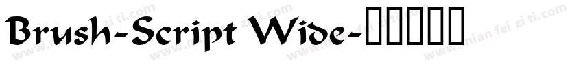 Brush-Script Wide字体转换